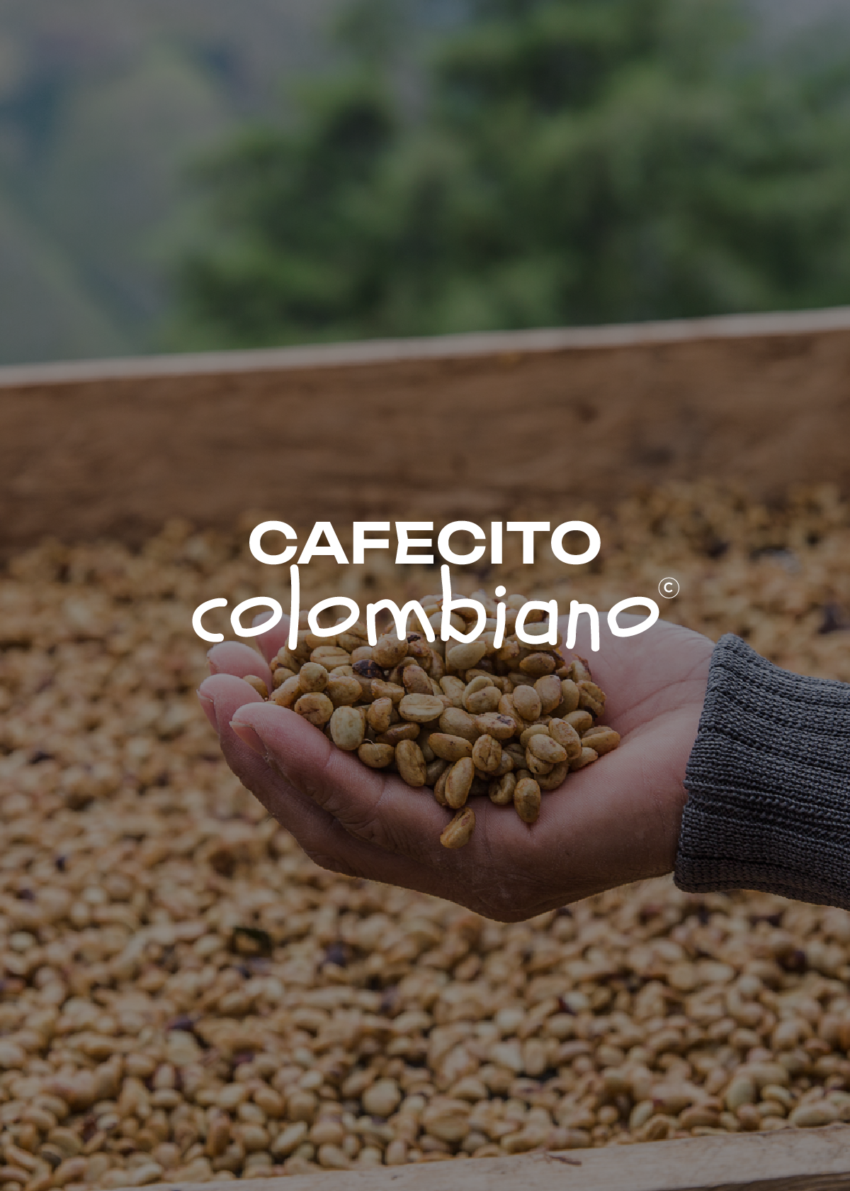 Café co(moon) ‘Comunidad Indigena de Aponte' en grano. 100% Colombia. Proceso honey.