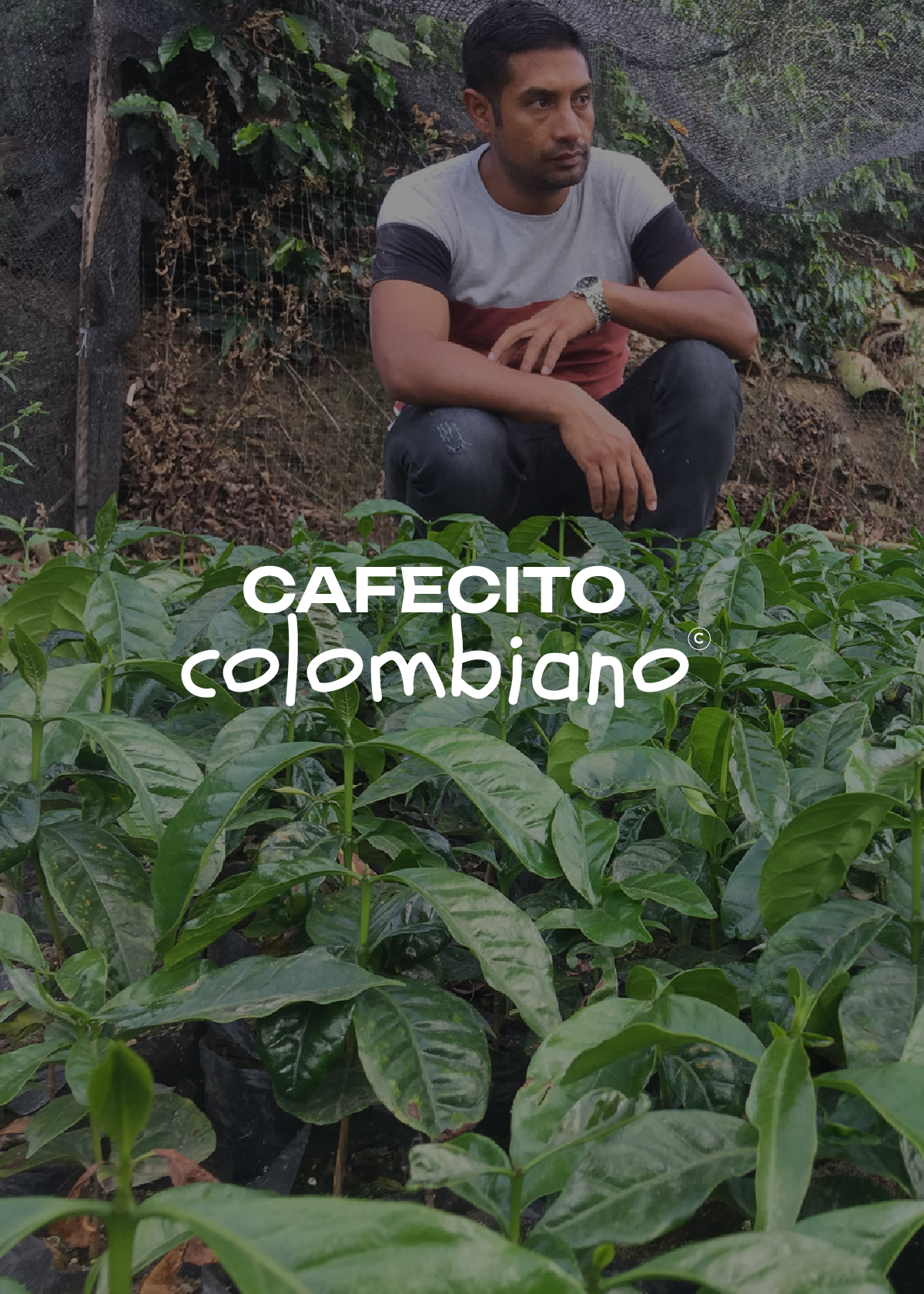 Café co(moon) ‘El Paraíso' en grano. 100% Colombia. Proceso natural.