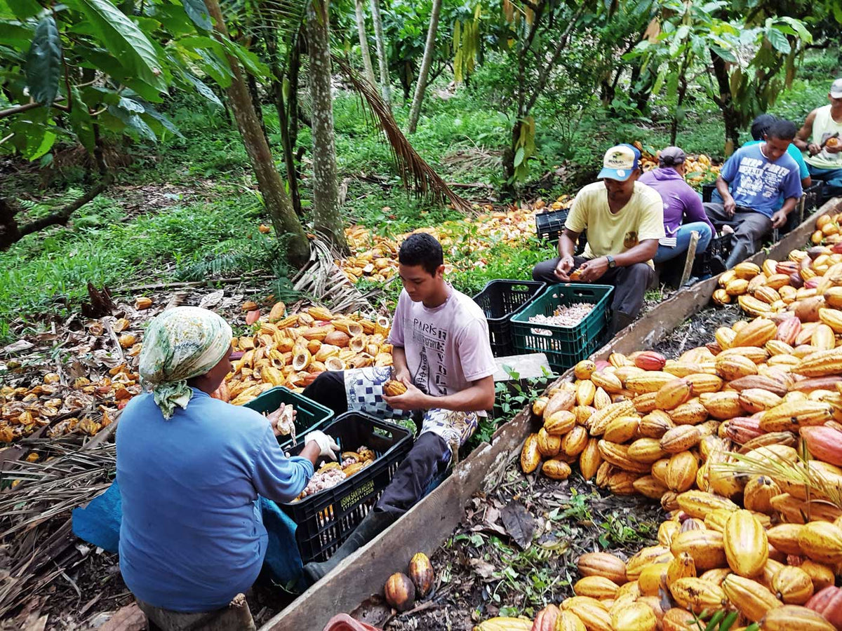 Fazenda Vera Cruz