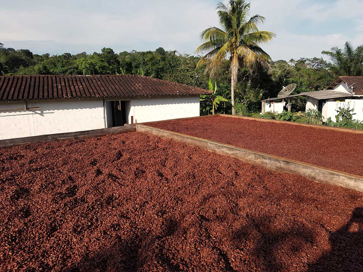 Fazenda Vera Cruz