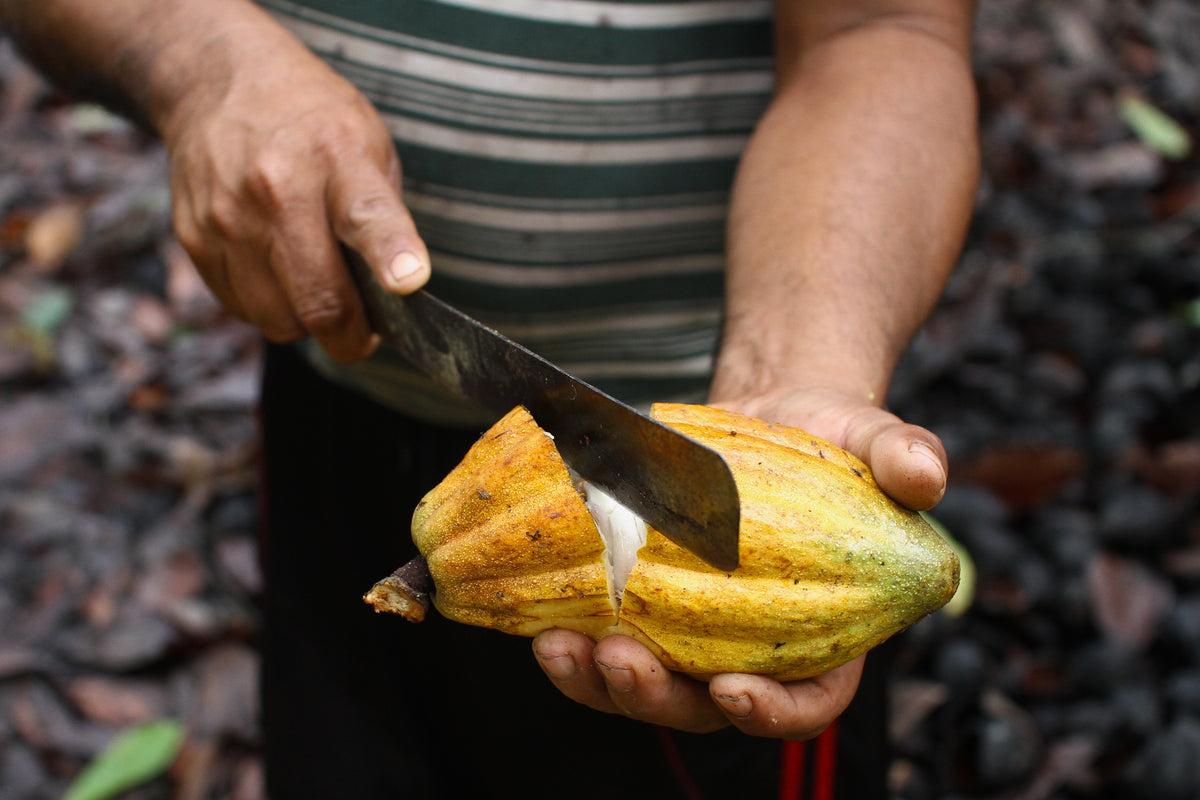 Piura Blanco
